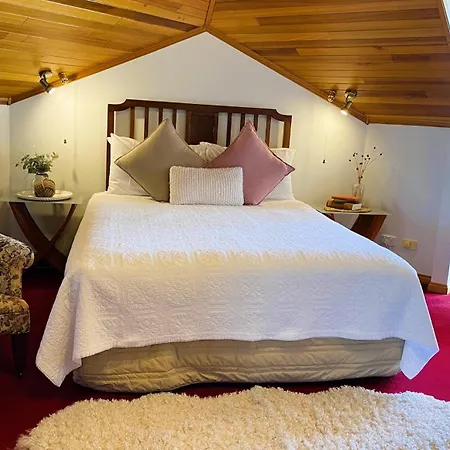 Hanlon Guest House-2