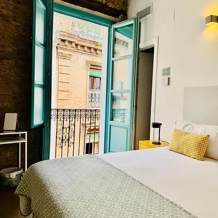 Alegoría Coliving Experience-3