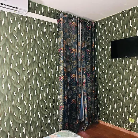 Magenta Roma House-2
