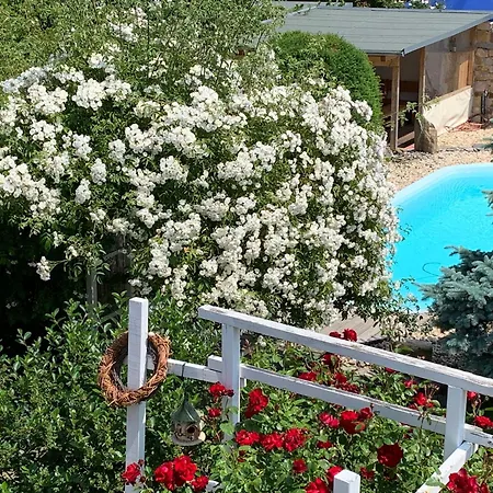 Haus am Pool-3