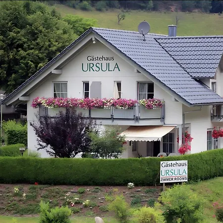 Gästehaus Ursula-2