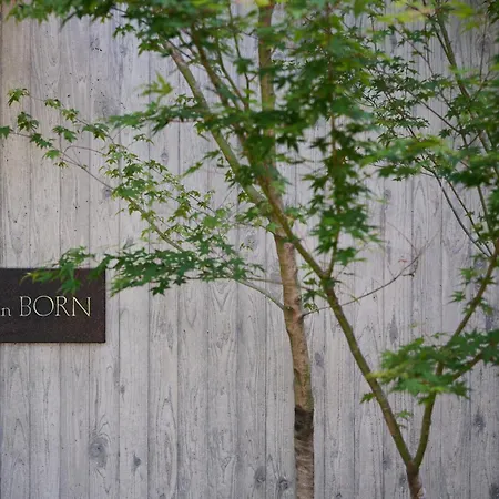 Forest Inn Born-2