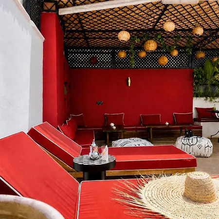 Riad Tizgui-3