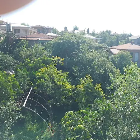 Panda Family Hotel In Senaki-3