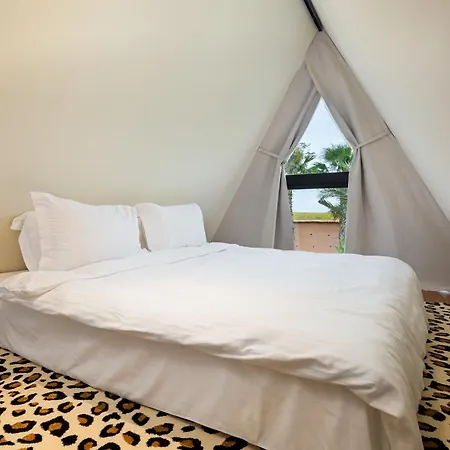 Le Domaine Limoune-2