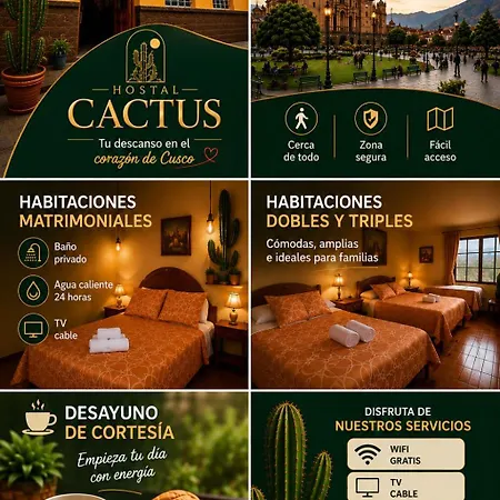 Hostal Cactus-3