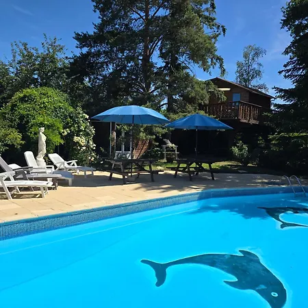 Les dauphins de Mareuil-3