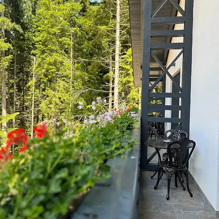 Casa Daria-3