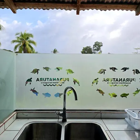 Hotel Pura Natura Beachfront Tortuguero-2