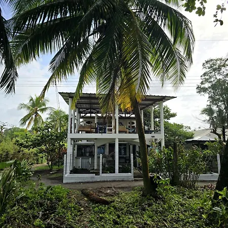Hotel Pura Natura Beachfront Tortuguero-3