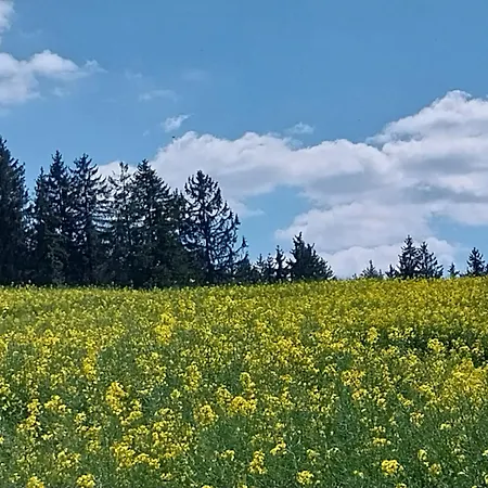 Landgasthof Neitsch-3