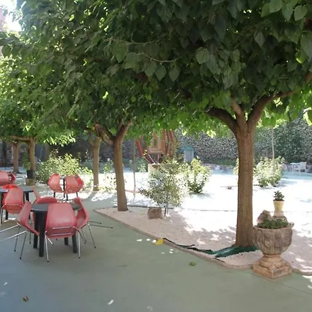 Albergue Juvenil El Olivo-3
