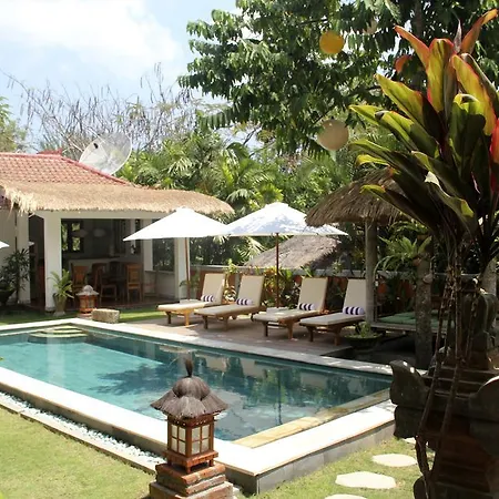 Papaya Guesthouse-2