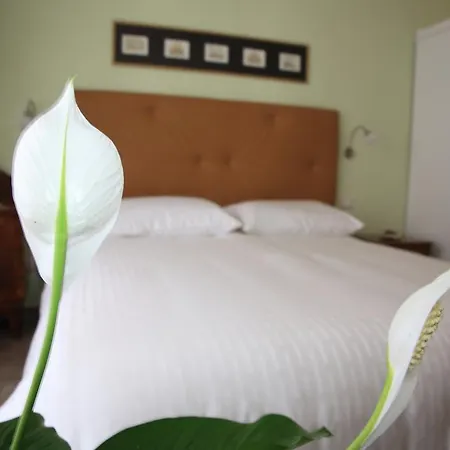 Anice Guesthouse-3