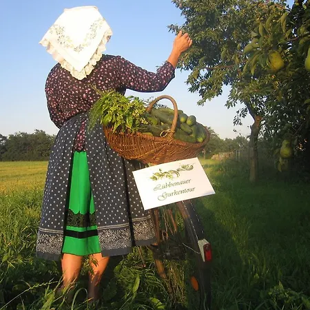 Spreewald Pension Am Spreeschlößchen-2