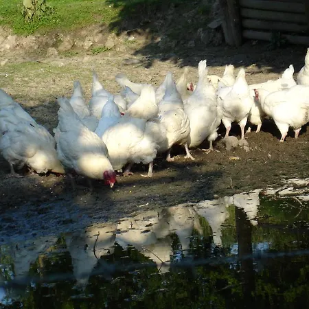 La Ferme Du Pressoir Guest House-2