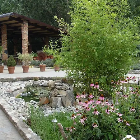 Molí del Casó-2