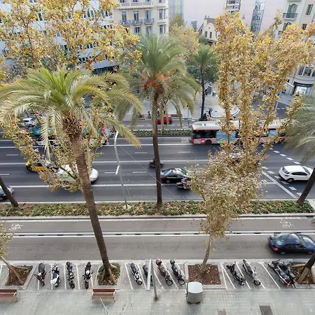 Diagonal Home-2