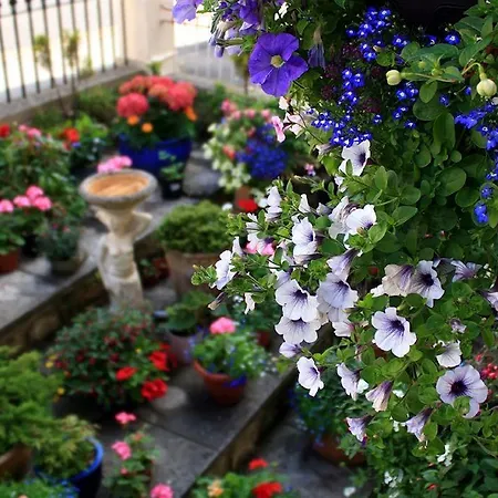 Florence Guest House-3