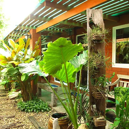 P.Y. Guest House-2