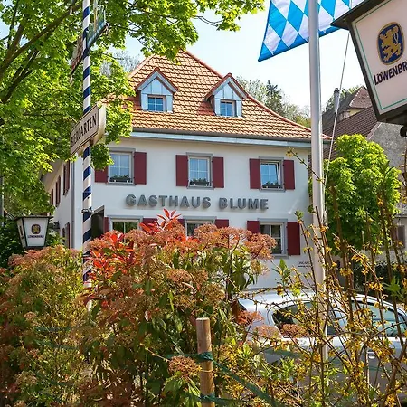 Zur Blume Hotel & Restaurant Efringen-Kirchen Bei Basel-2