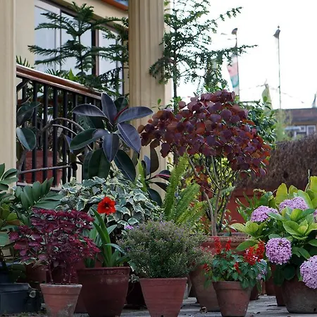Swayambhu View Guest House-3