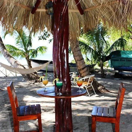 La Palapa-2