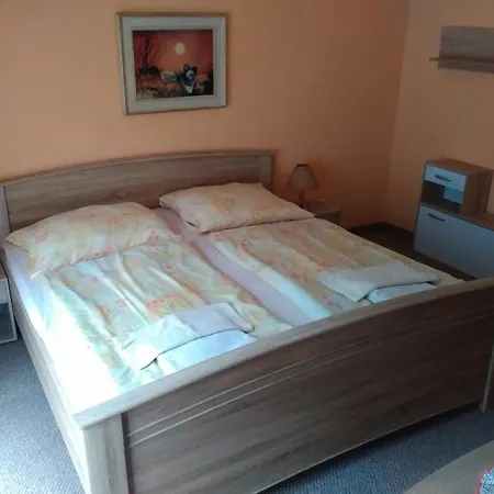 Restaurace A Pension Prvni Mlyn Chomutov-3