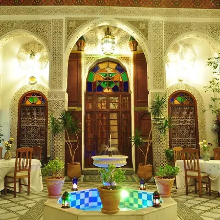 Riad Sara-3