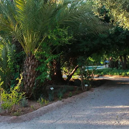 Jnane Tamsna-2