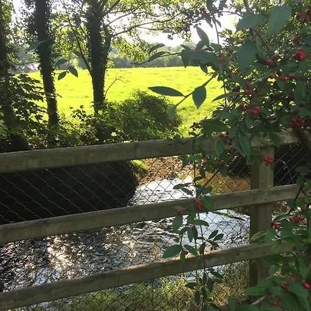 Riverbank, Country Pub And Guesthouse-2