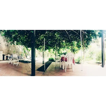 Aloha House-3