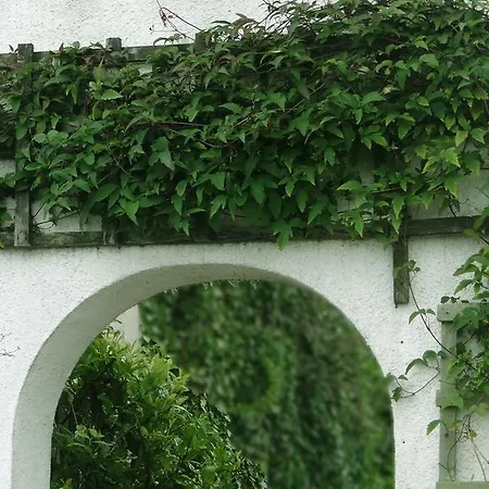 Jessamine House Hotel-3