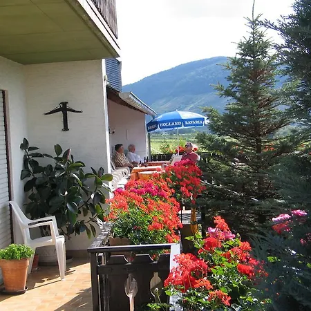 Pension und Weingut Moselblick-3