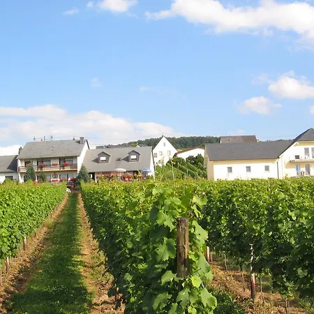 Pension Und Weingut Moselblick-2