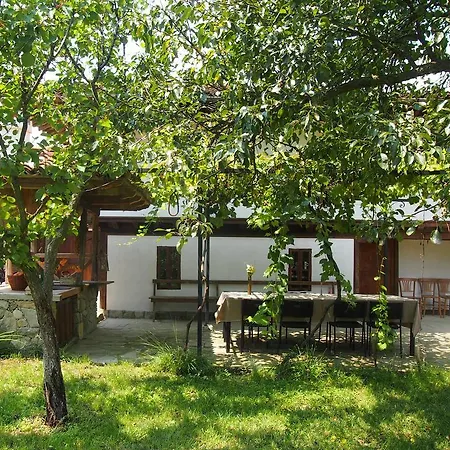 Terra House-3