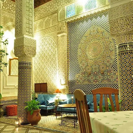 Riad Sara-2