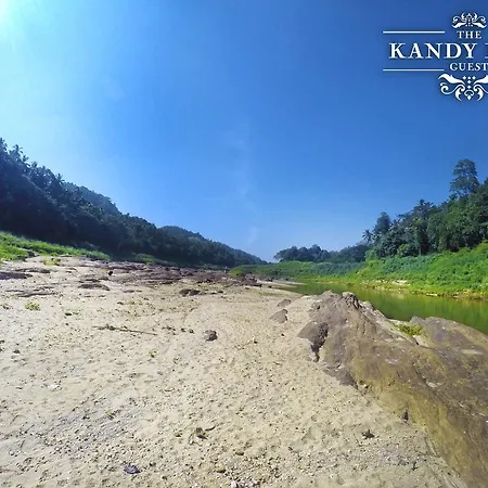 Kandy Blue-3