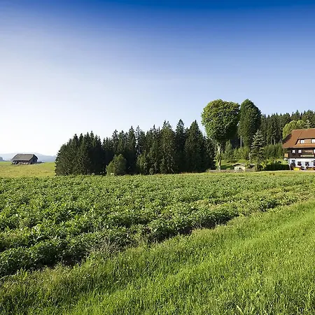 Gasthaus Schweizerhof-2