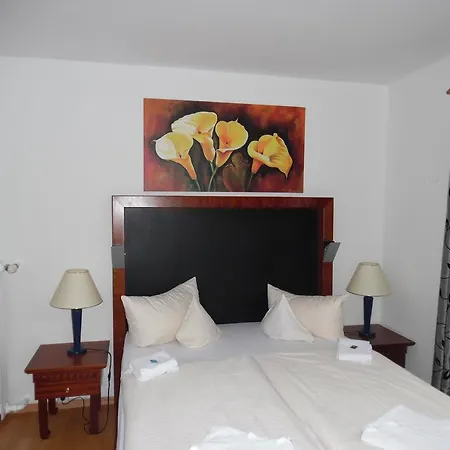 Hotel Edelweiss-2