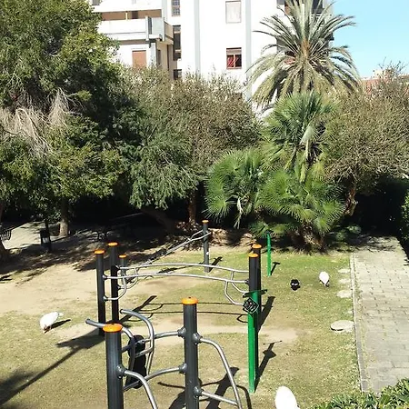 Ilm Cagliari-3