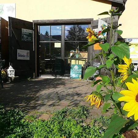 Die Bunte Kuh In Federow-3