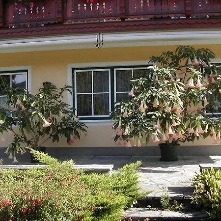 Pension Salzburger Hof-2