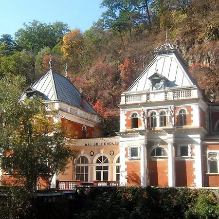 Vila Turistica Floare De Colt-2