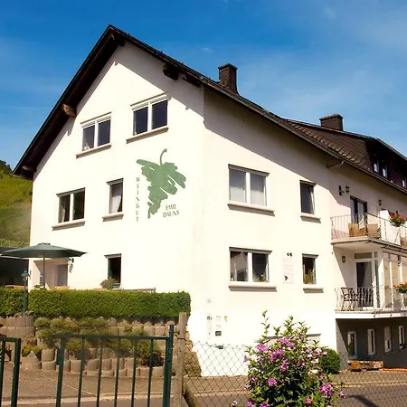 Weingut-Brennerei-Gästehaus Emil Dauns-3