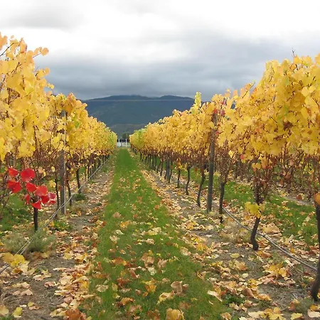 Korohi Vineyard Bnb-3