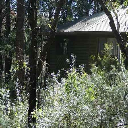 Twin Falls Bush Cottages-3