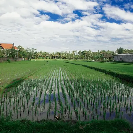 Canang Sari House-2