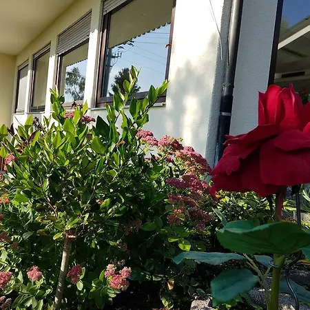 Hotel Rosenbach-2