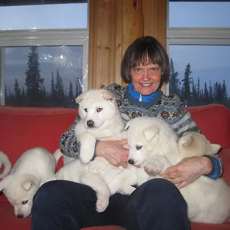 Arctic Chalet Resort-3